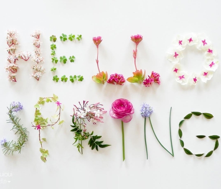 Hello spring ❤️