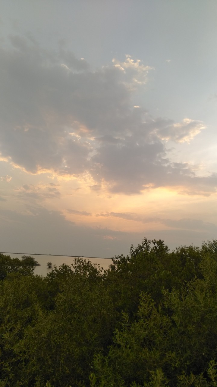 sunset