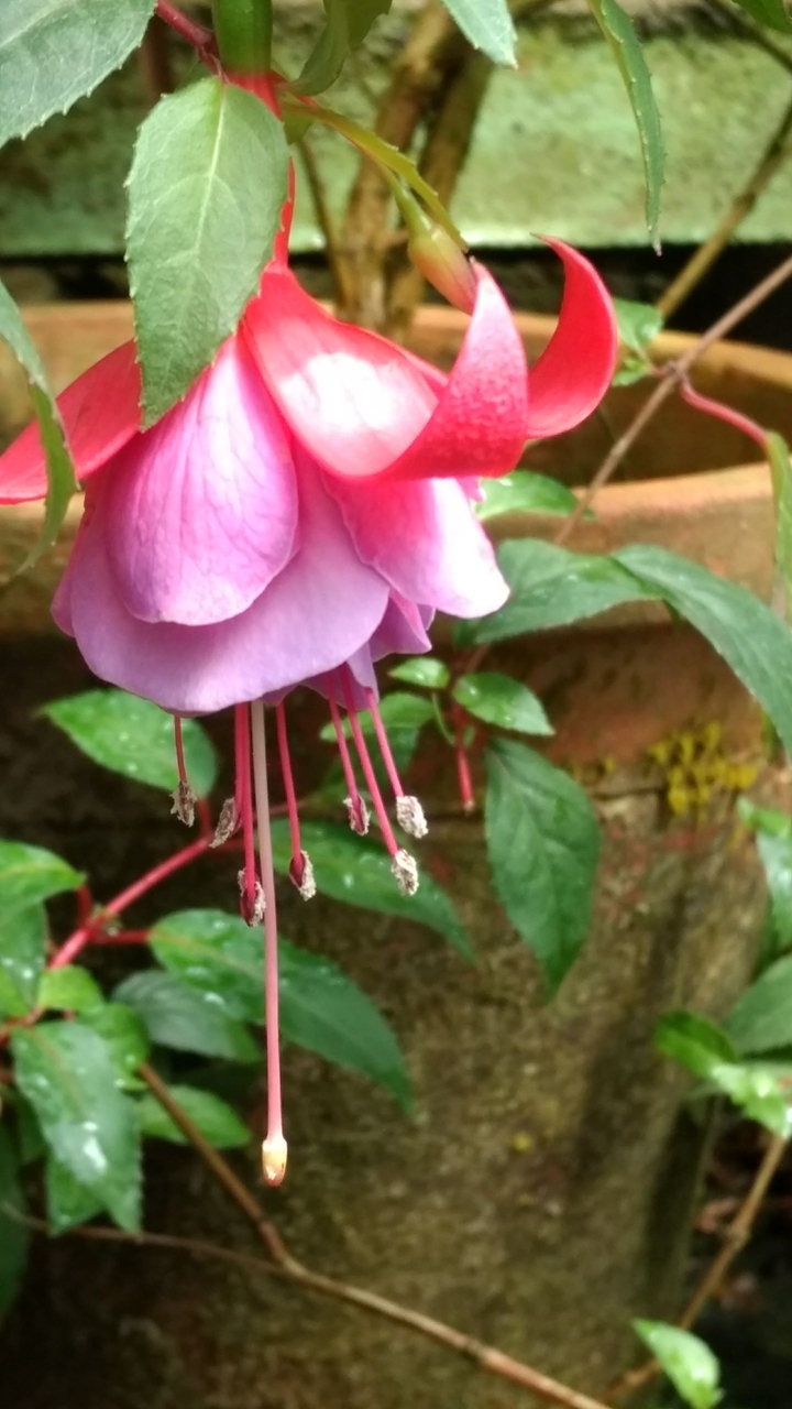 Nature's Beautiful creation