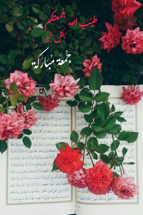 بدون عنوان