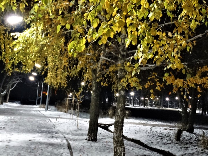 аллея