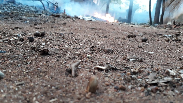 land