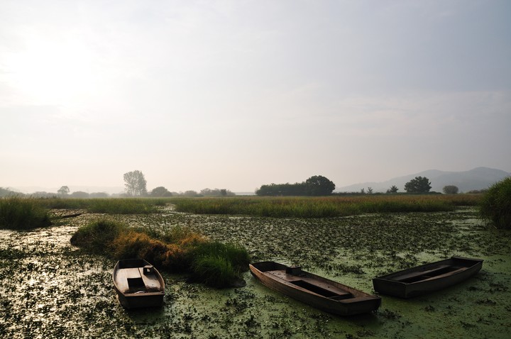 Scenics