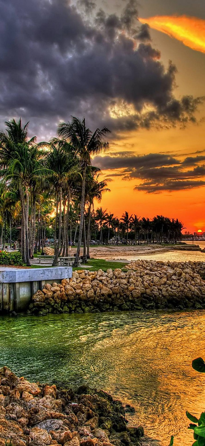 evening hues
