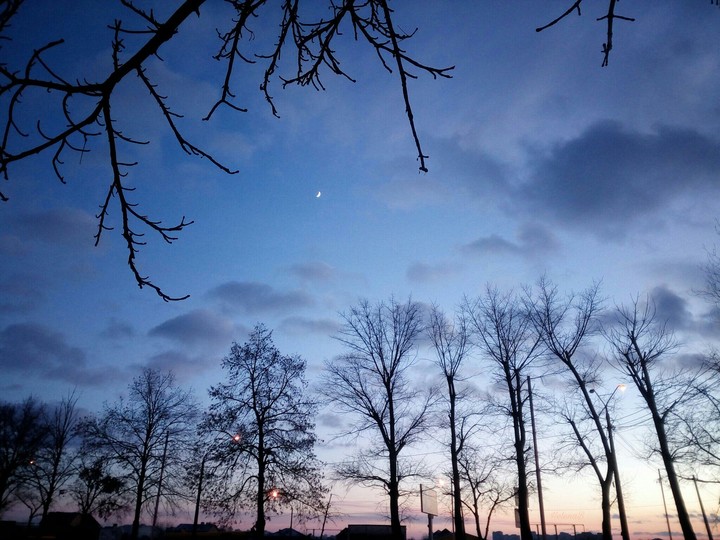 evening