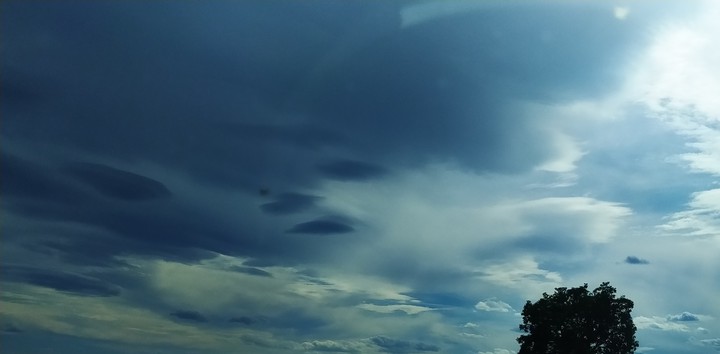 Tree and sky