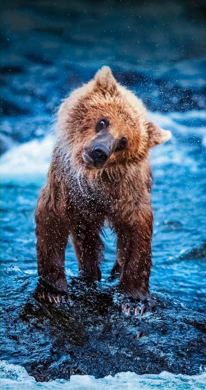 ?