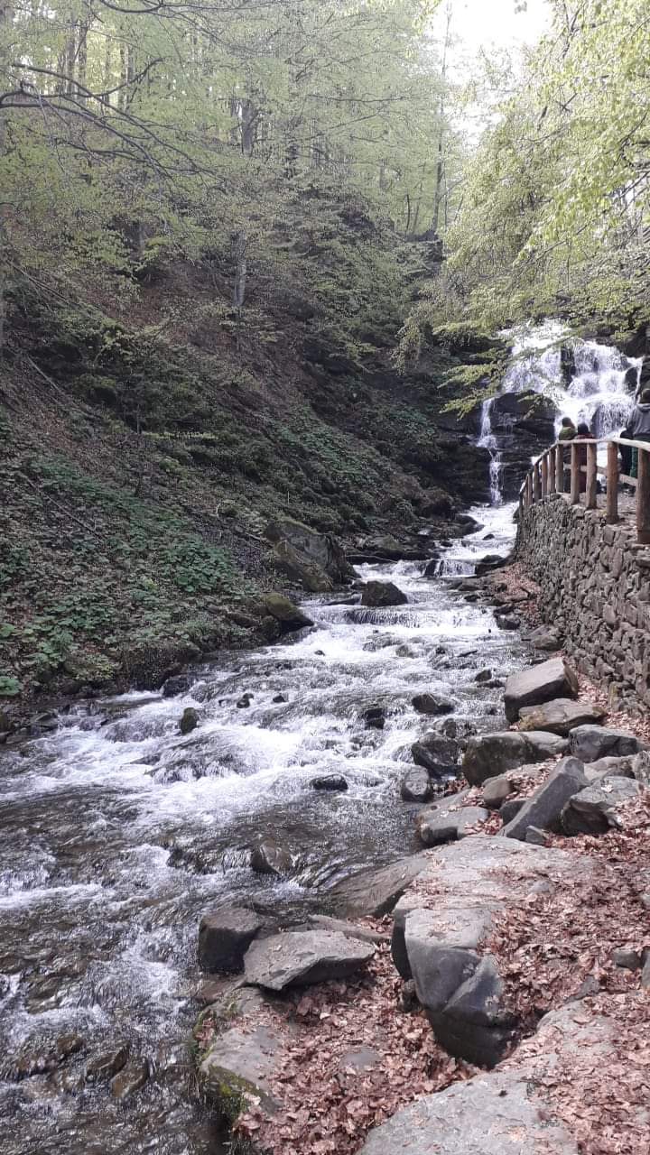 Transcarpathia