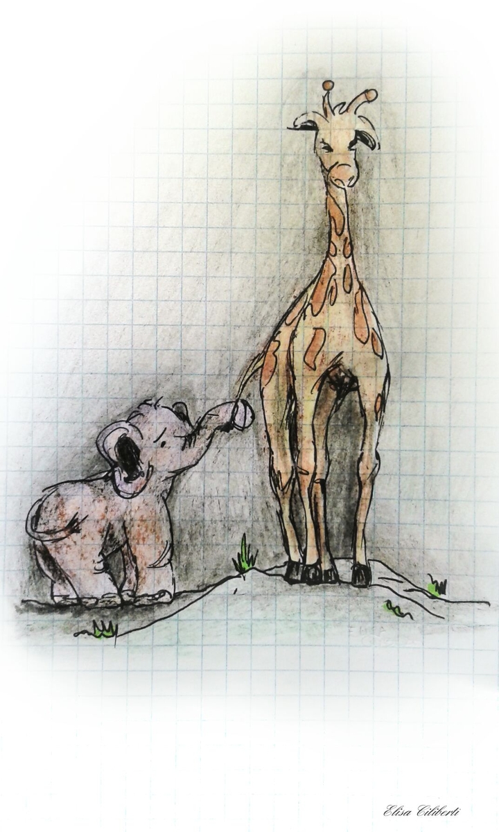 Cute animals' couple