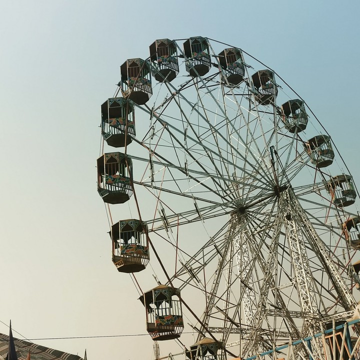Merry-Go-Round