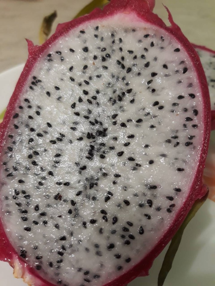 pitahaya