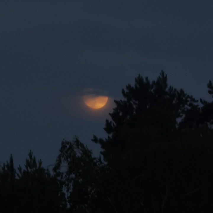 the moon