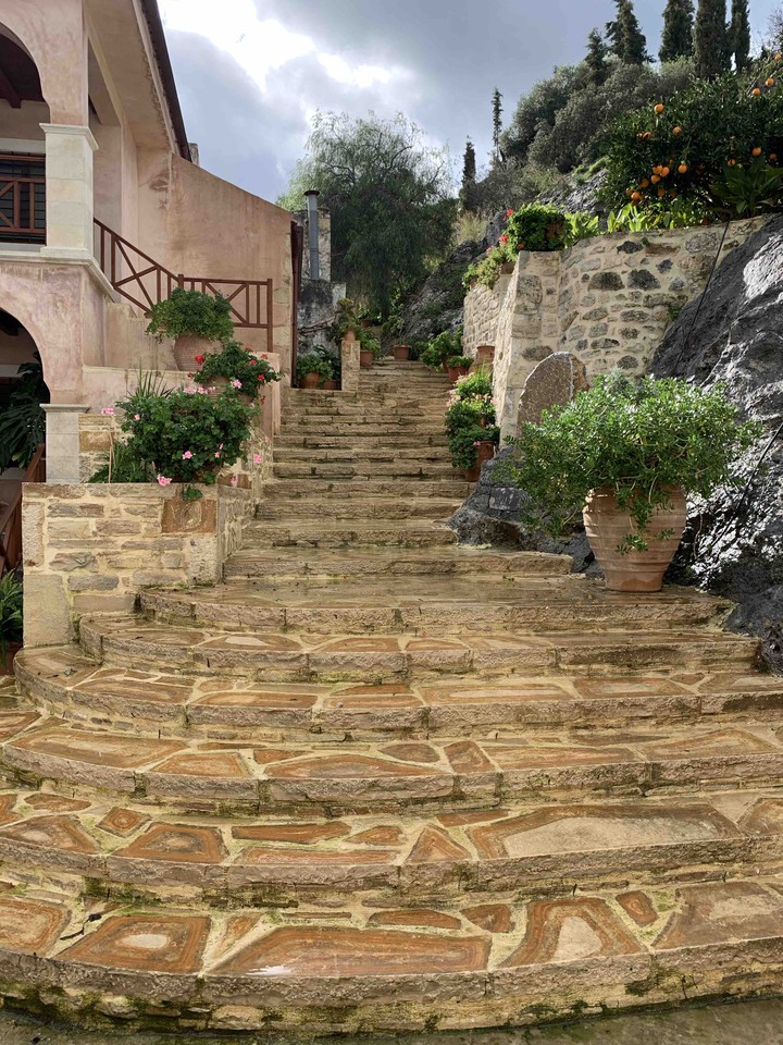Paliani