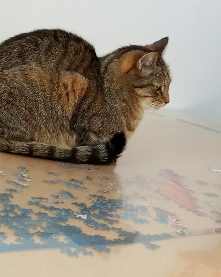 puzzled