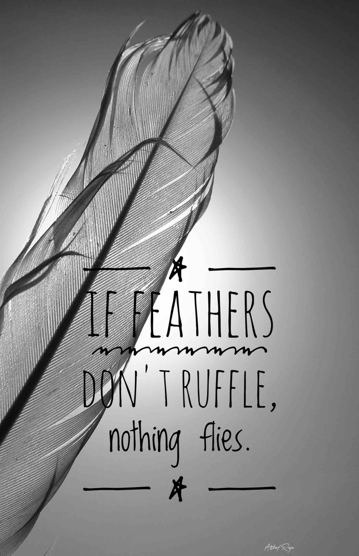 If feathers don't ruffle, nothing flies