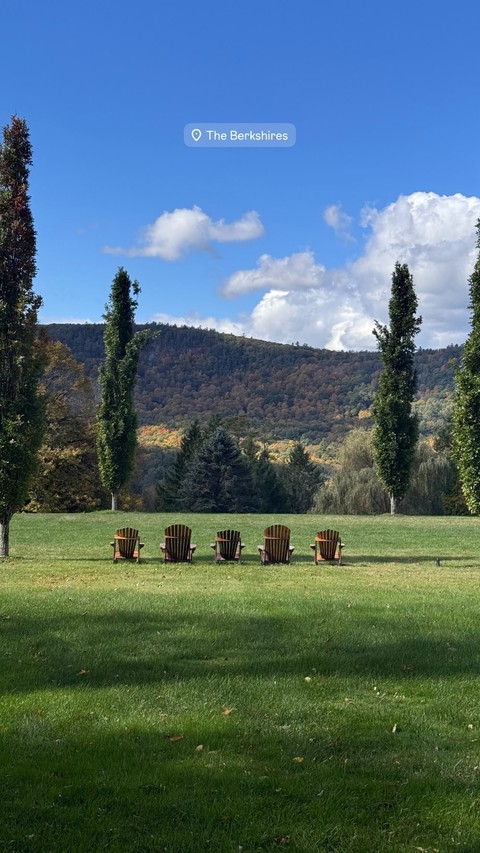 nature, ecoregion háttérképek