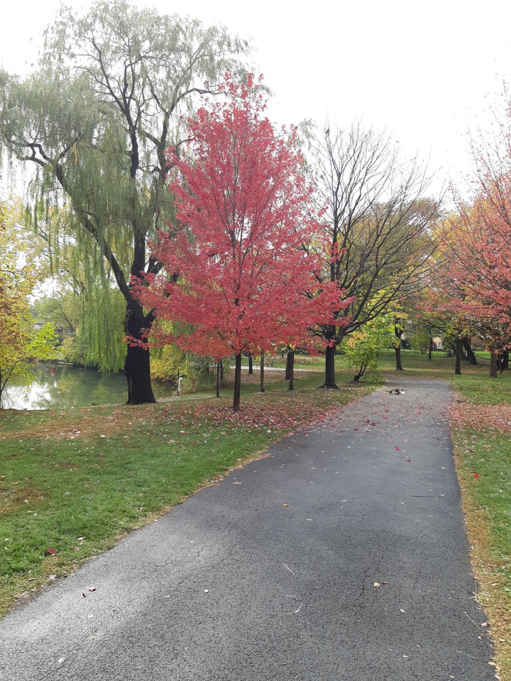Fall