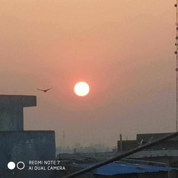 sun