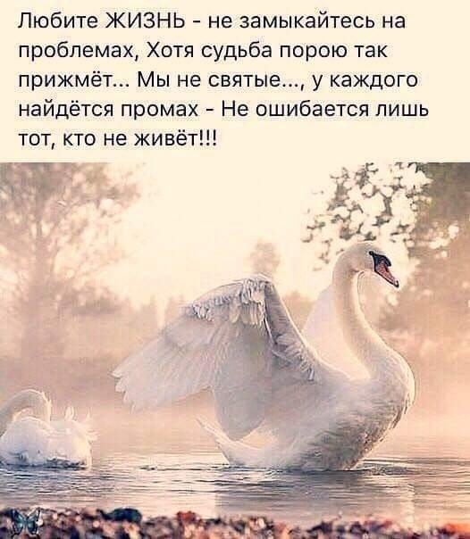 жизнь