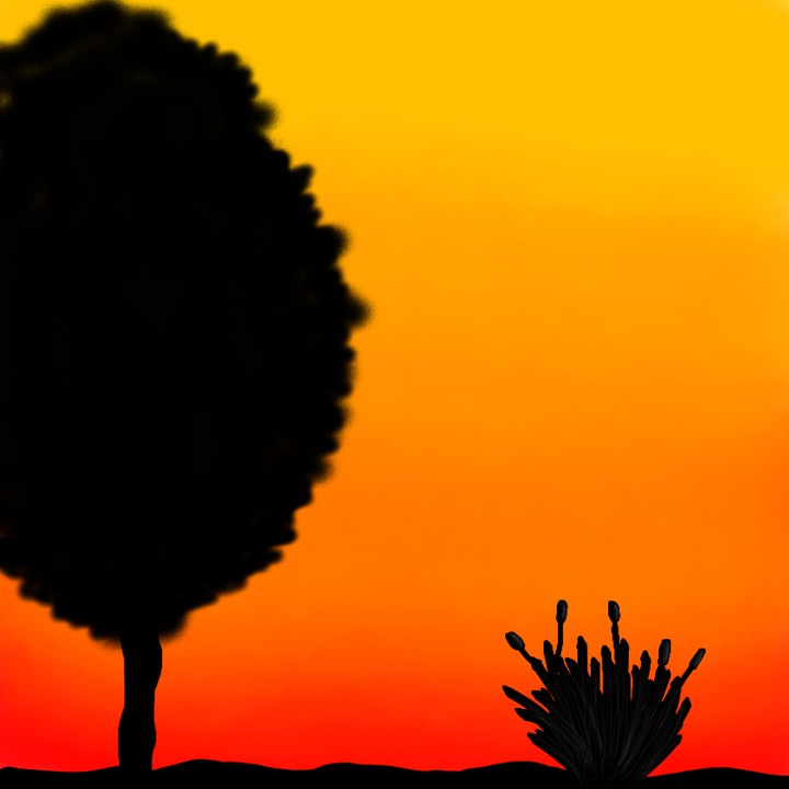 por do sol