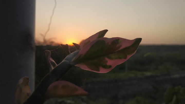 sun set
