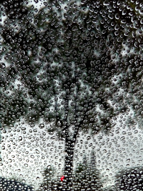 Rain