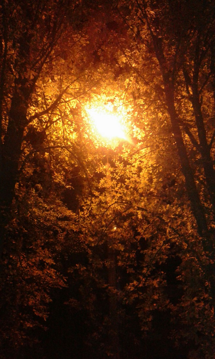 summer evening