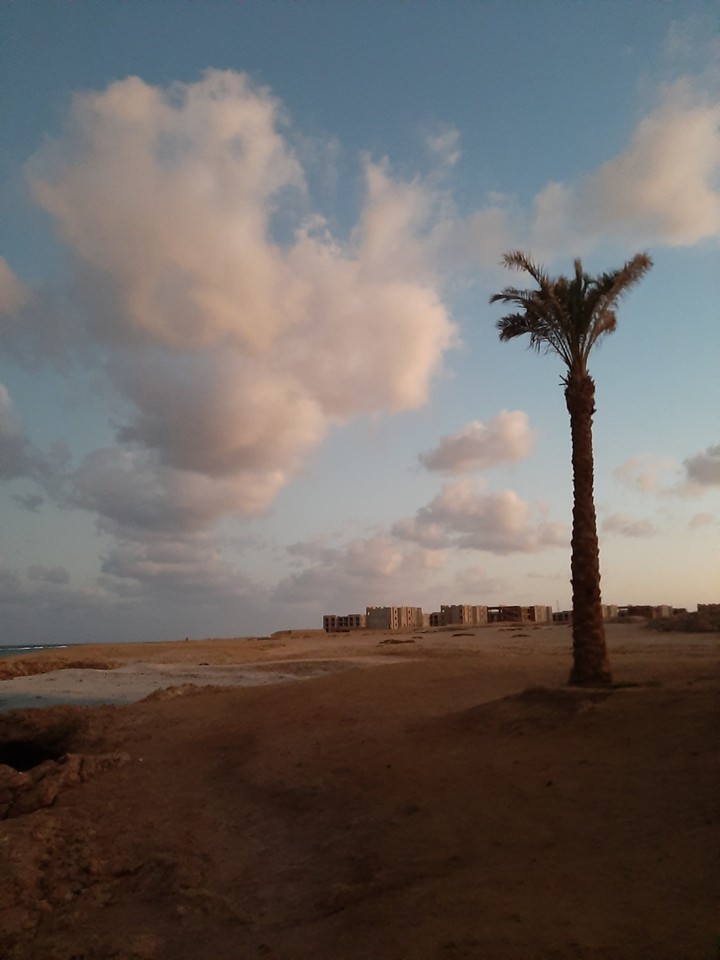 Evening