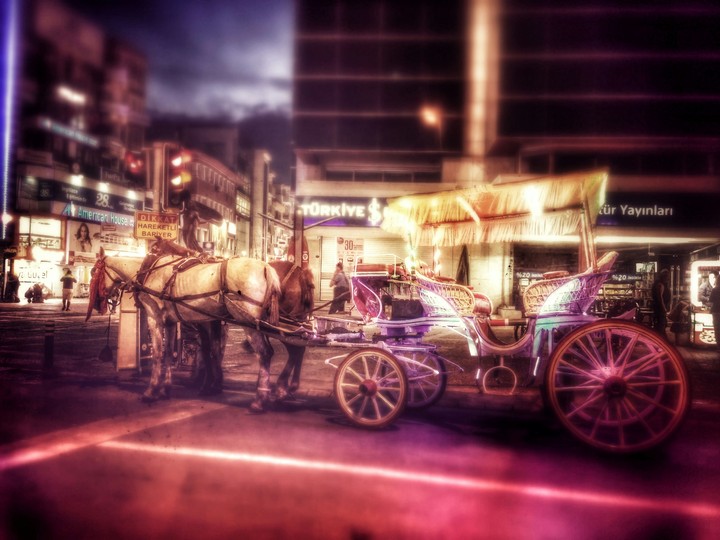 Horse at traffic