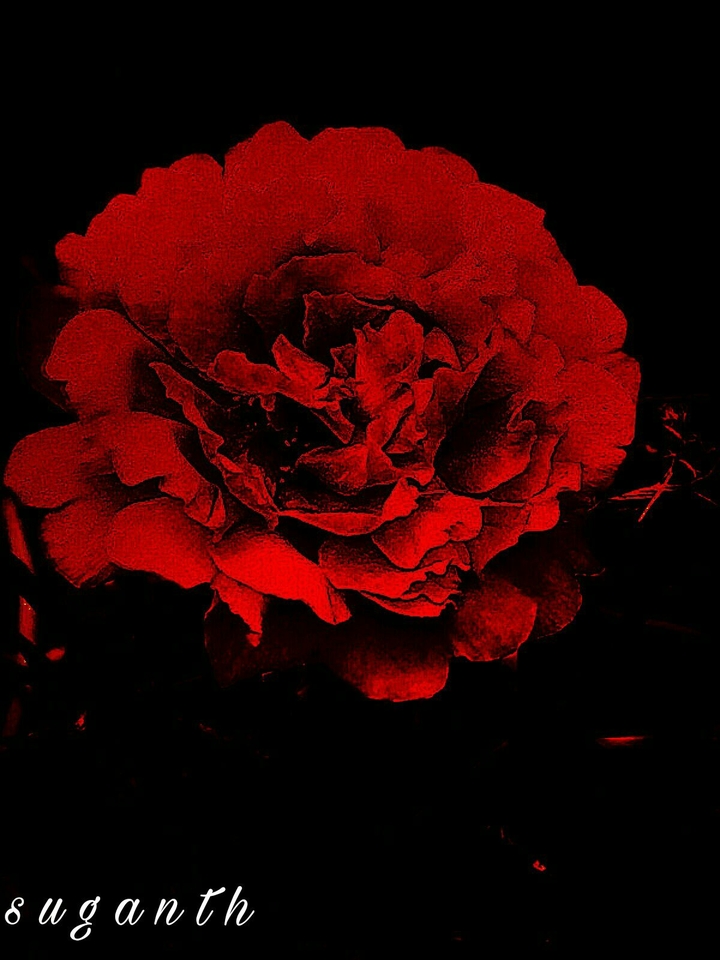 # flower