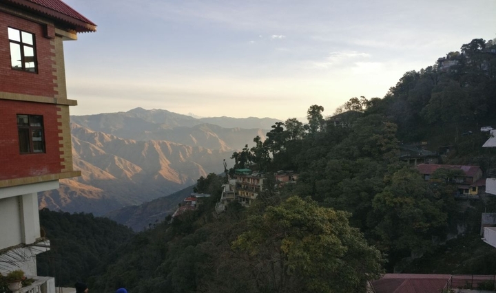 View
