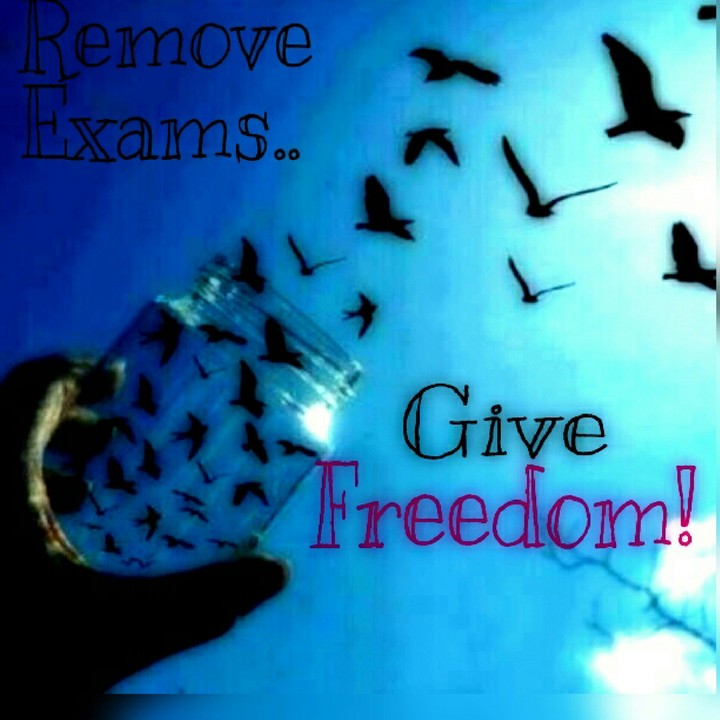 Hate For Exams