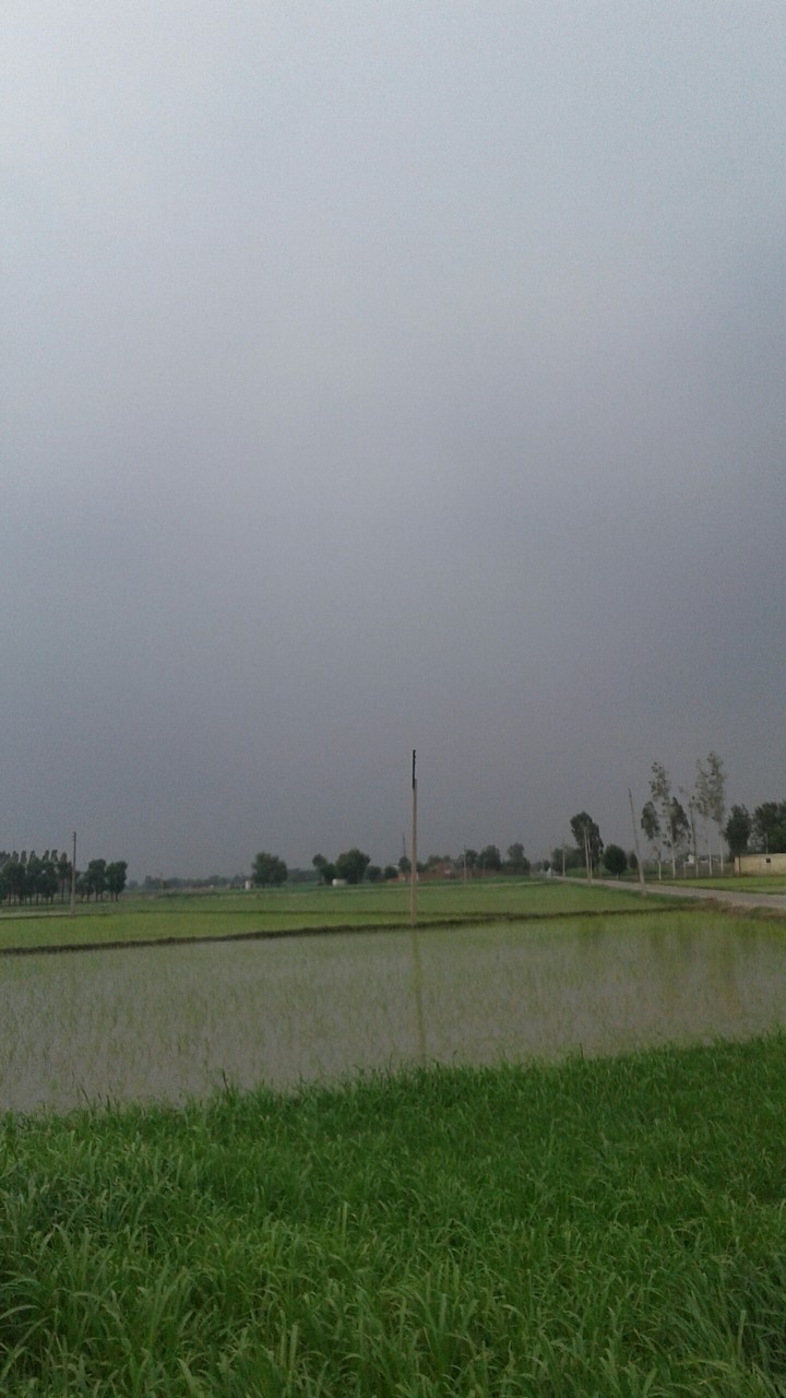 Raining Day