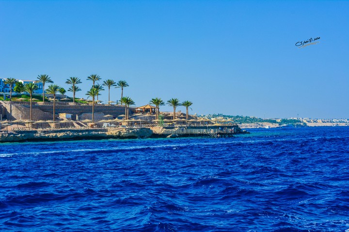 the red sea