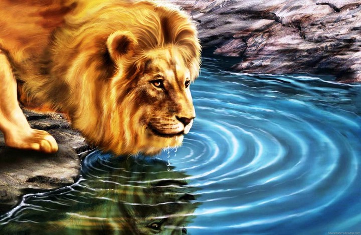 Lion is lion