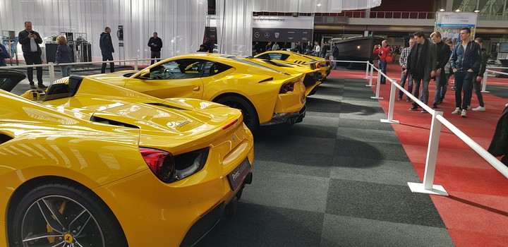 yellow asses