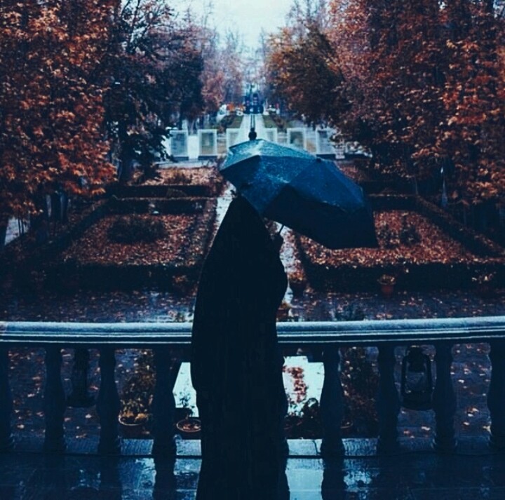 THE rain