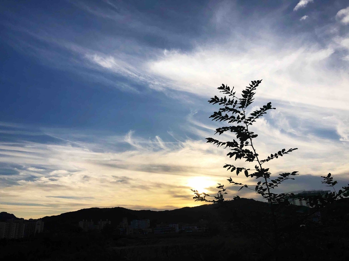 Autumn sky