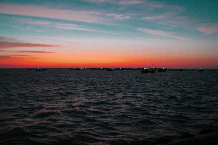 redness sea