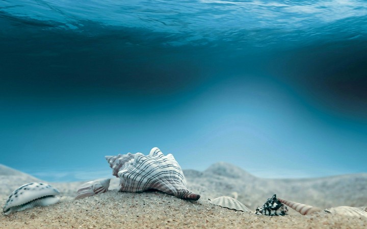 el mar