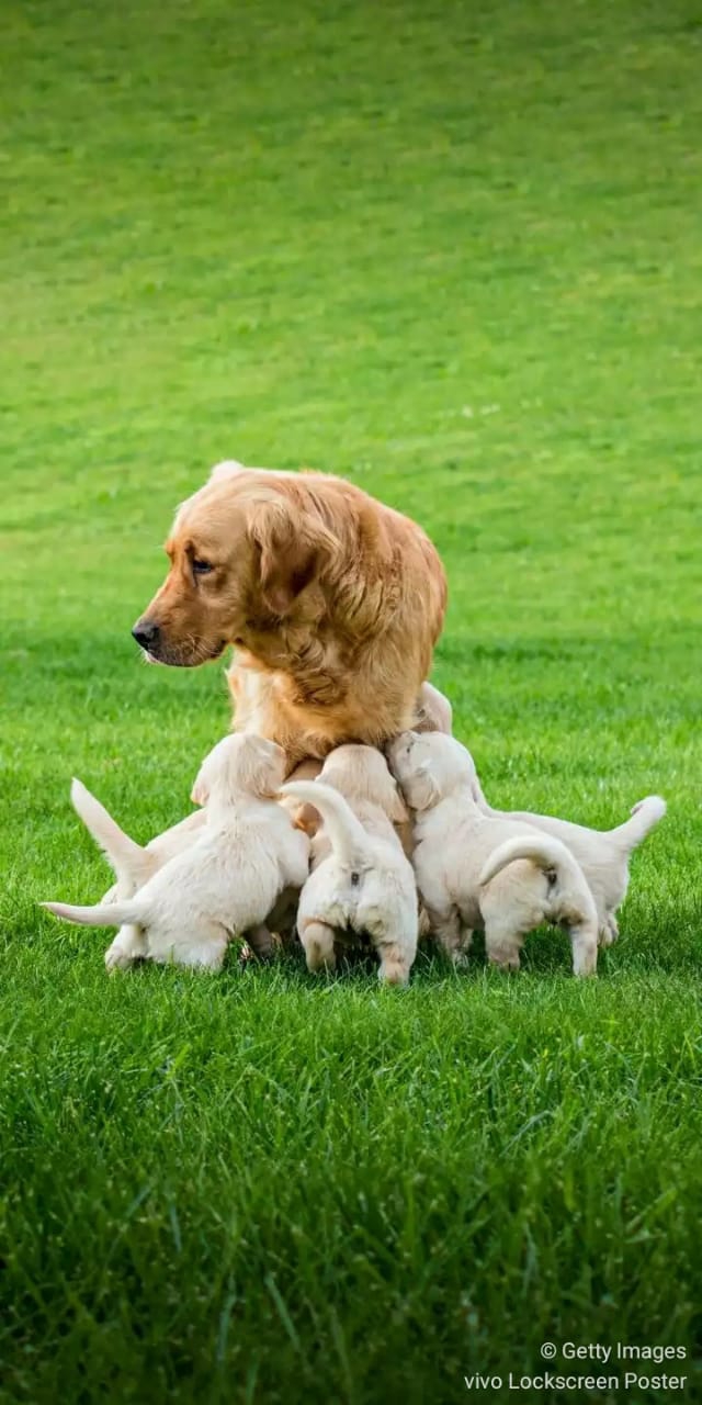 love for her child