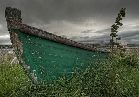 A Blustery Day