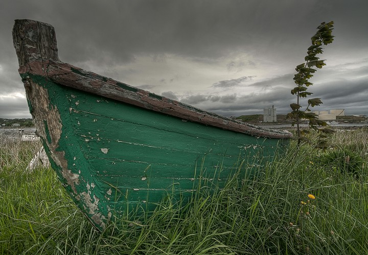 A Blustery Day