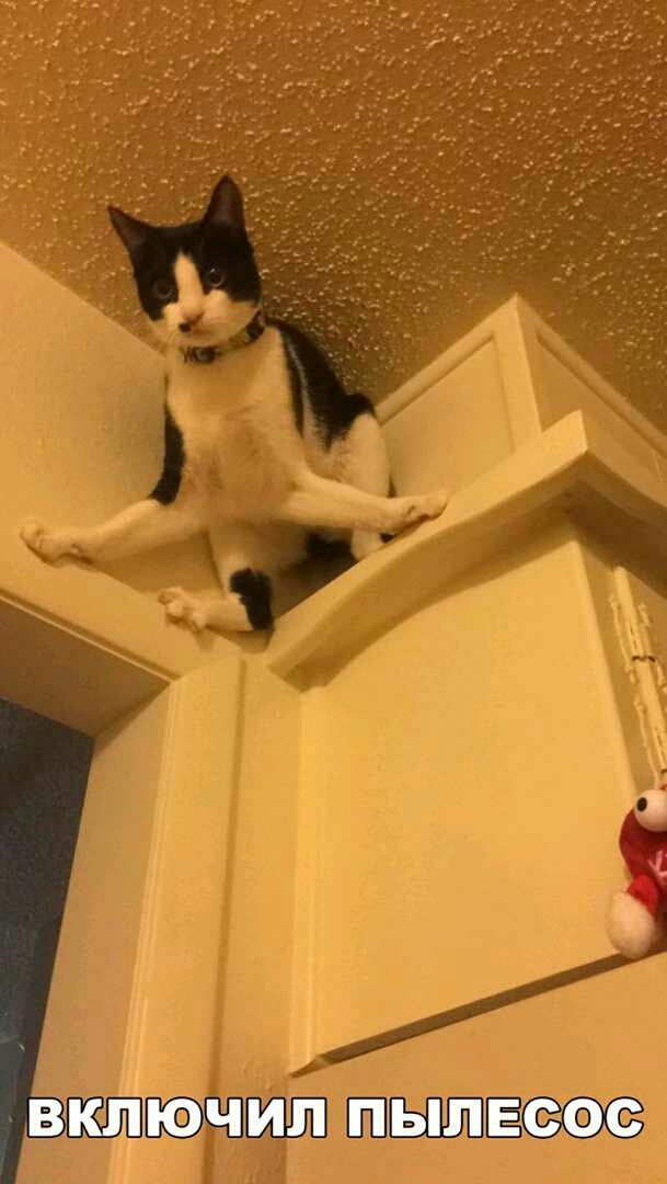 дошло?