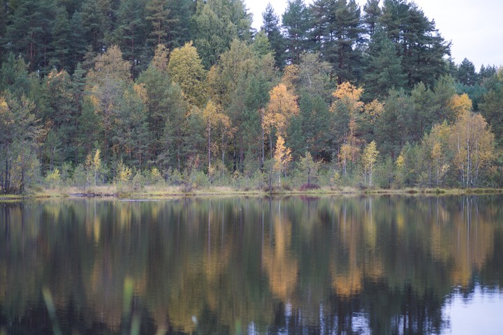 Поход ЛО