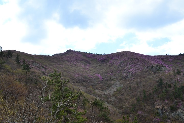 영취산이미지