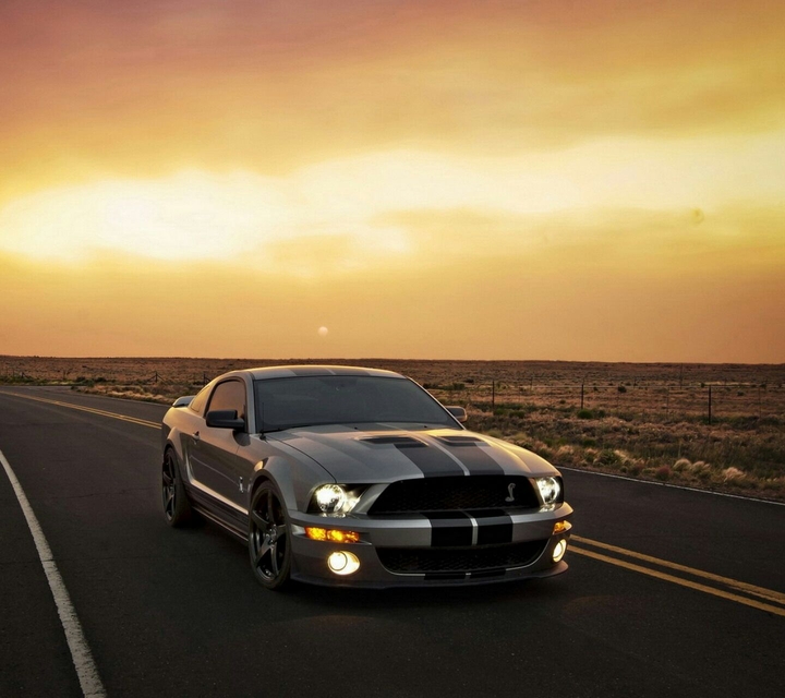 Mustang