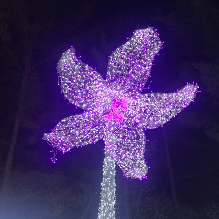 light