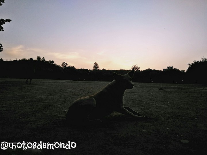 rasing evening