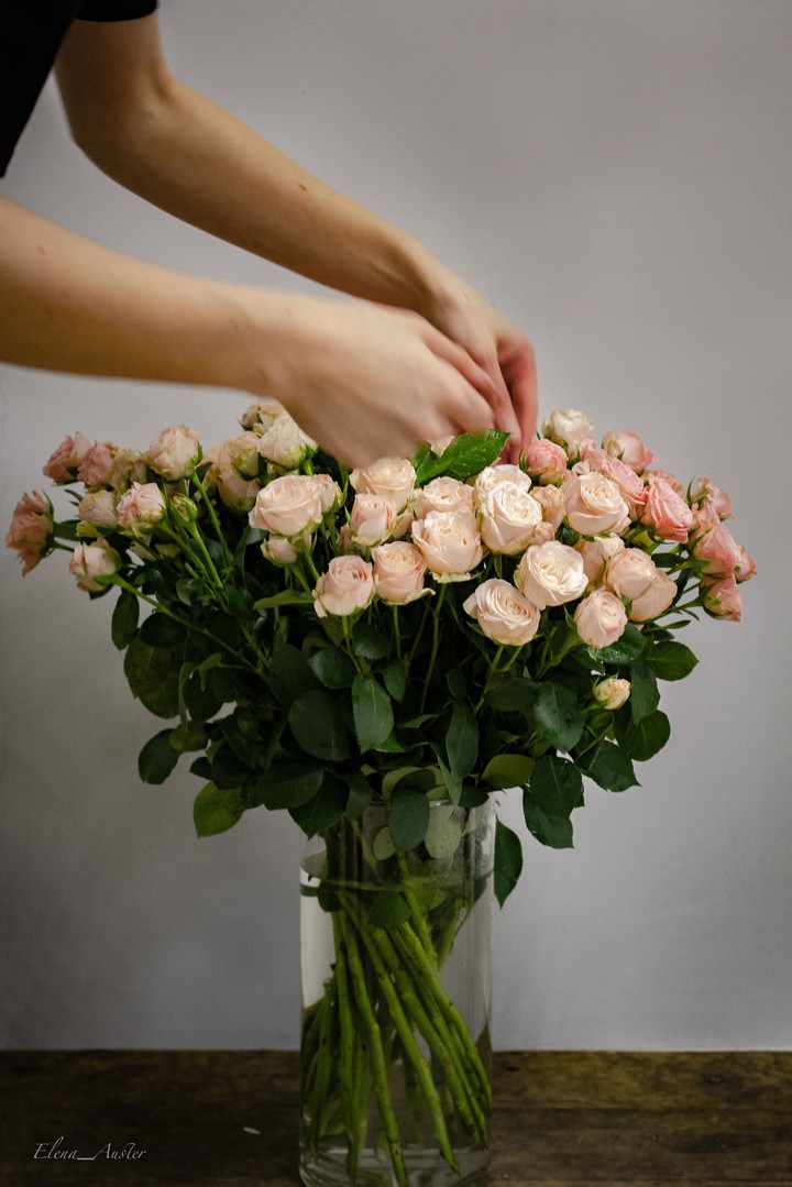 Roses